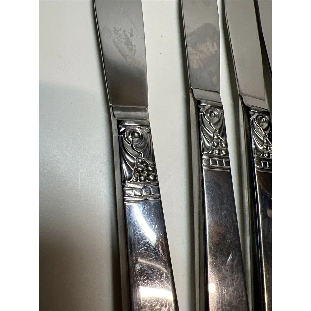 Oneida︱ Wm A Rogers︱ Stainless︱ Northland Dinner Knives︱ Set of 10︱Good Cond